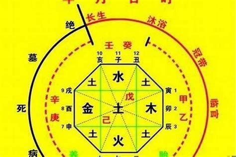 喜用神木職業|八字喜神木行业 (喜用神水木做什么行业)